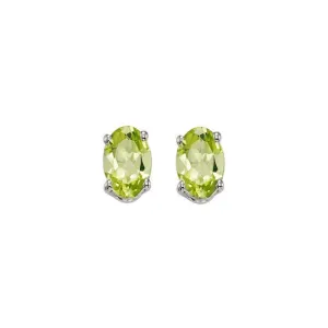 14KT White Gold Classic Book Color Fashion Earrings