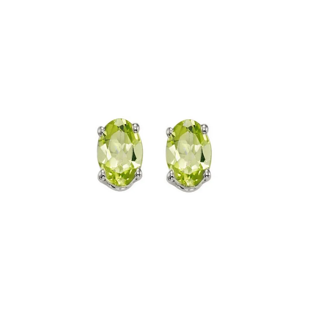 14KT White Gold Classic Book Color Fashion Earrings