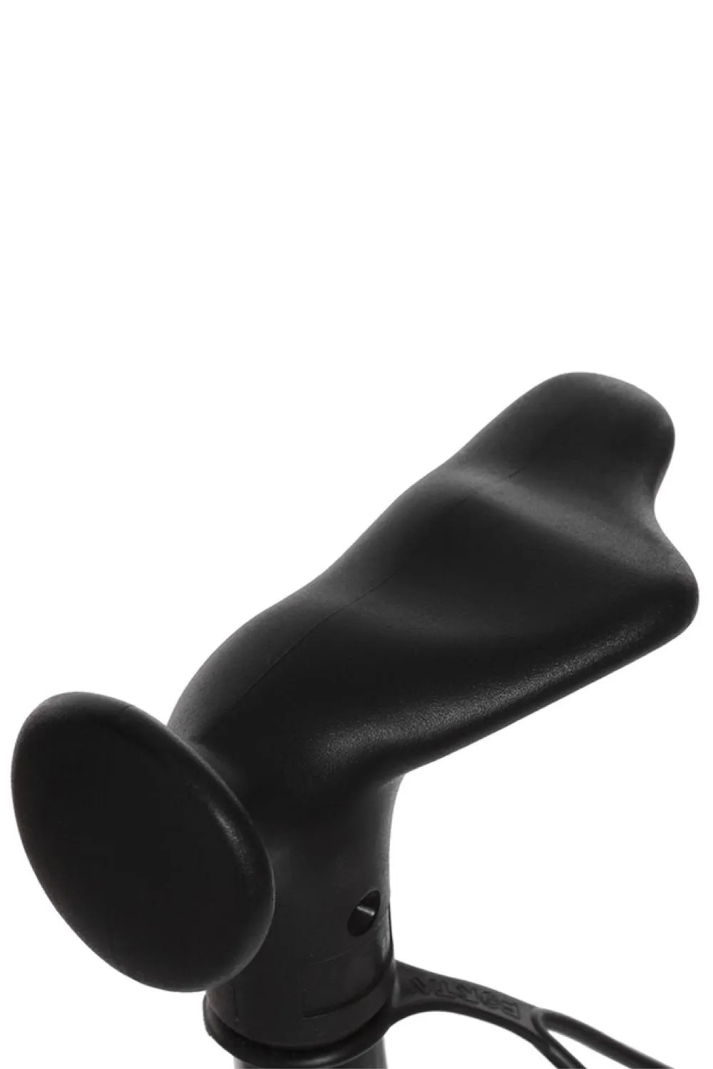 Black Walking Stick