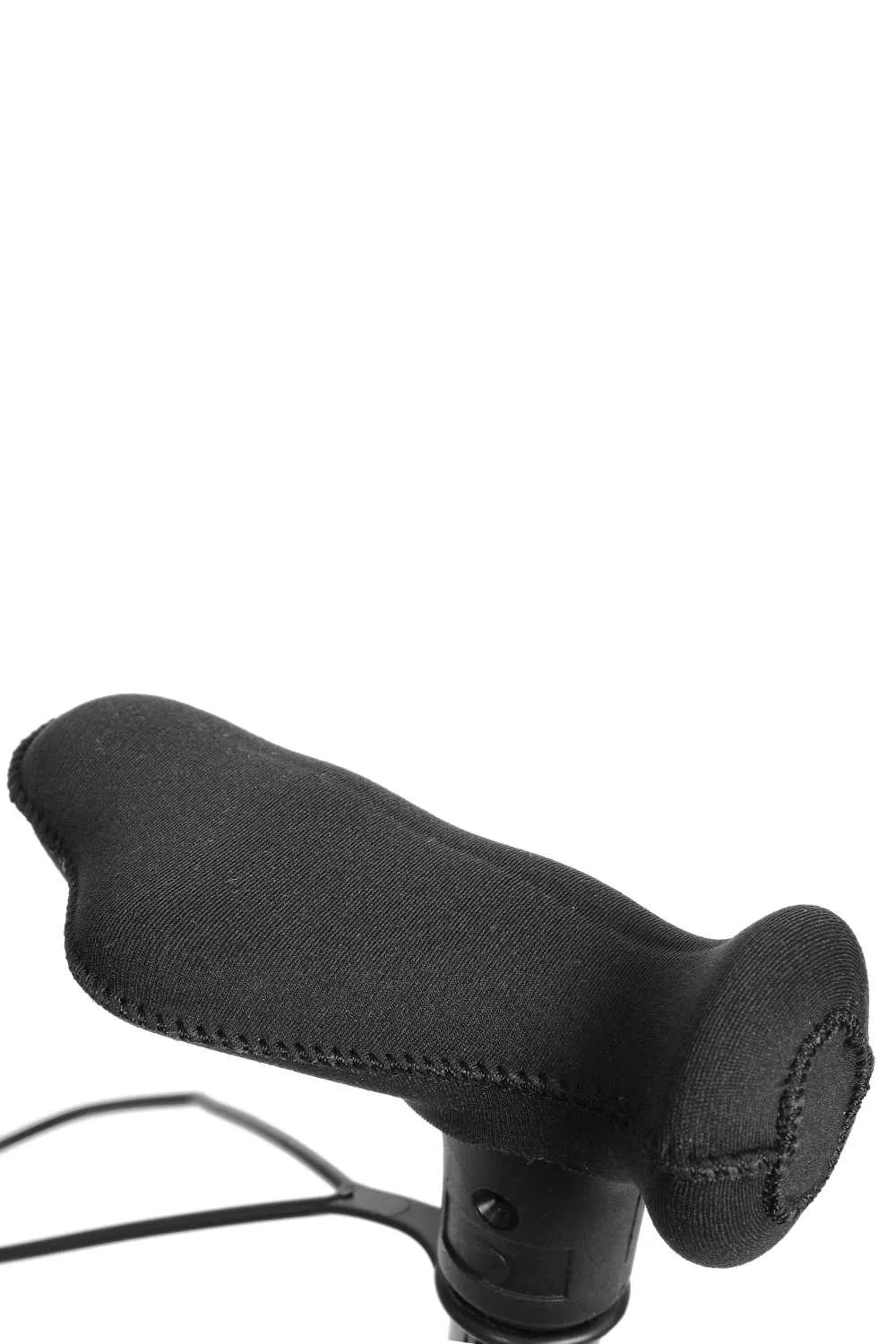 Black Walking Stick