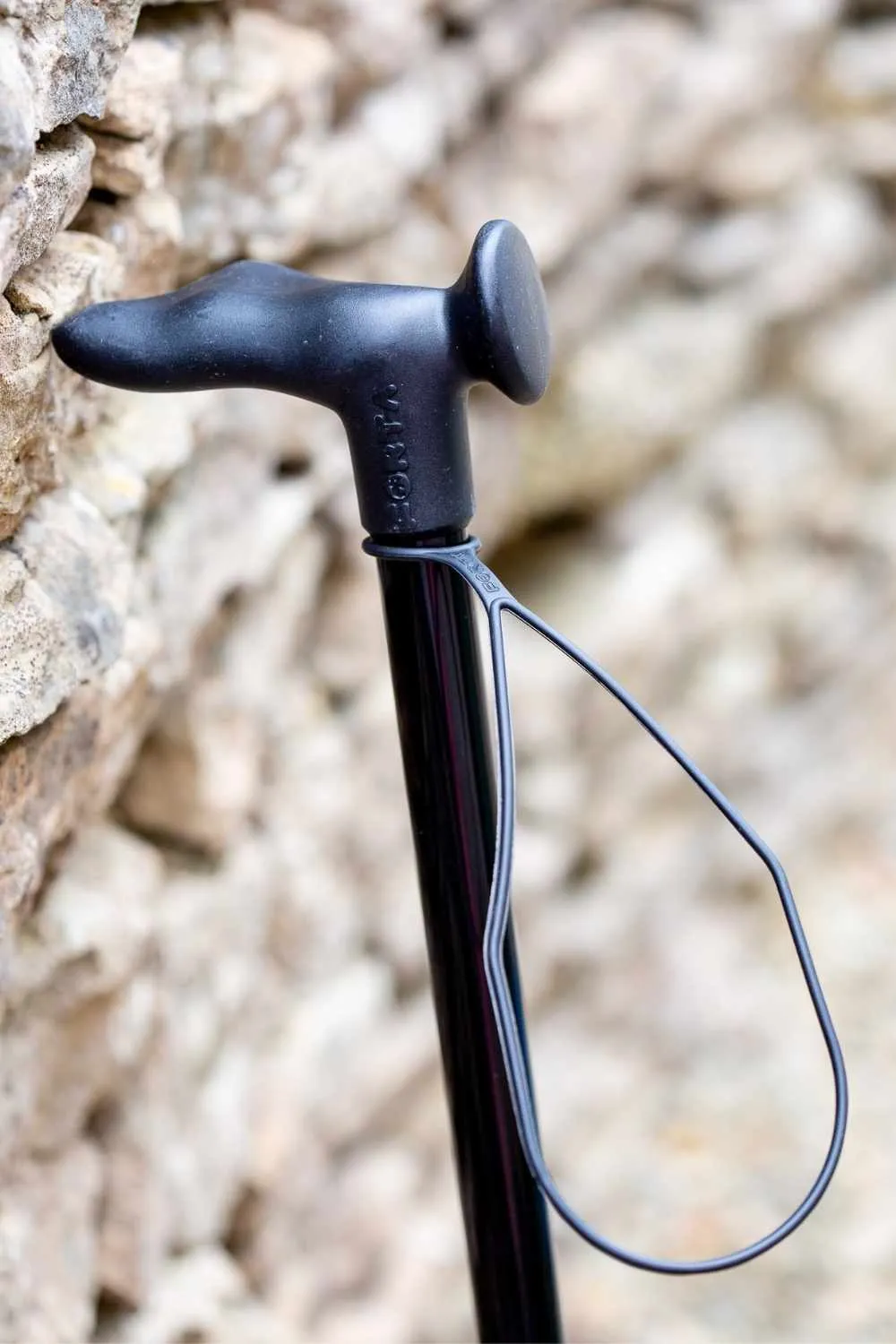 Black Walking Stick