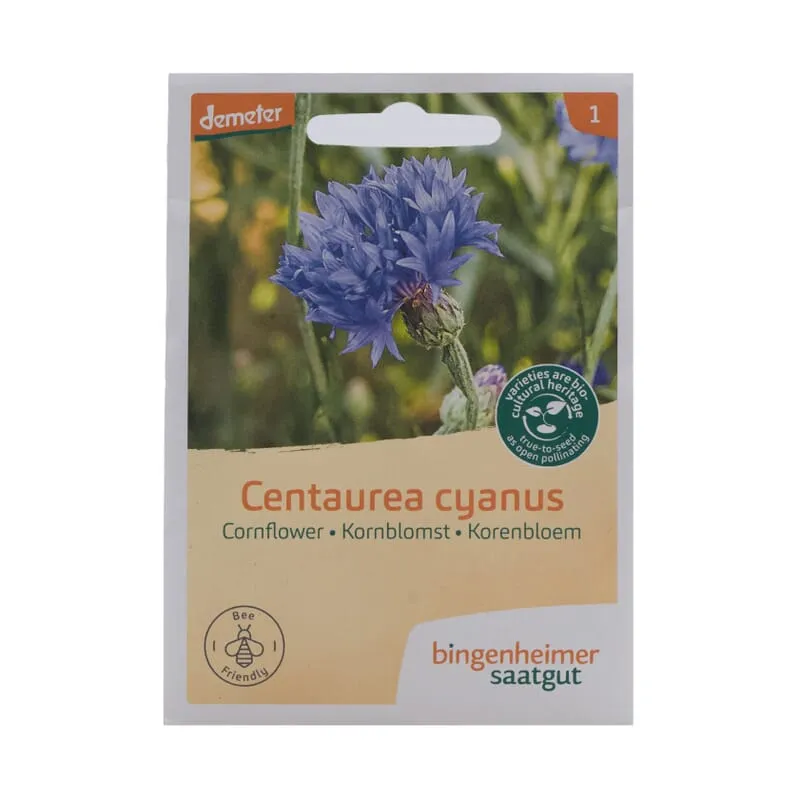 Cornflower seed organic