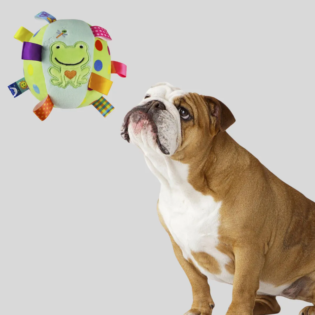 Interactive Rattling Plush Ball Toy - Keep Your Fur Babies Entertained