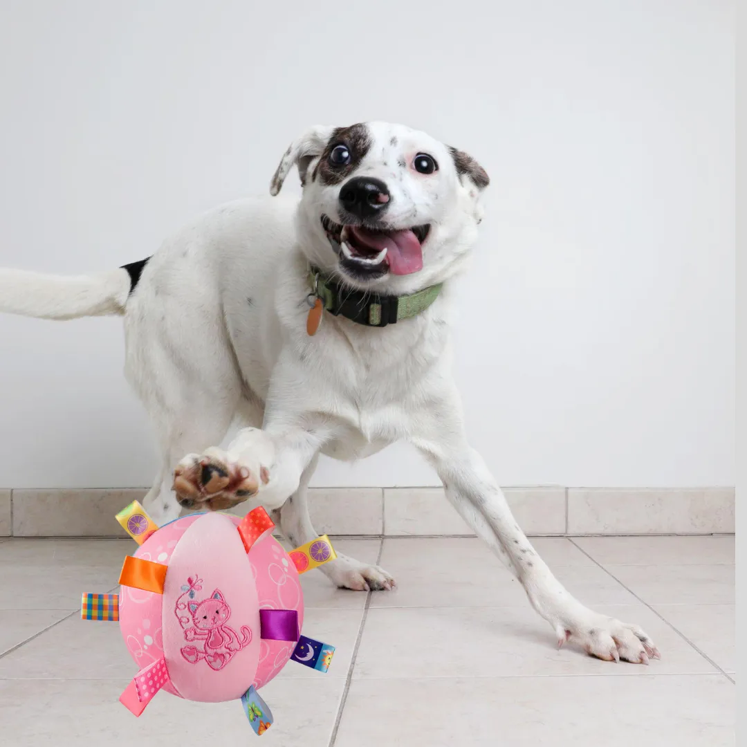 Interactive Rattling Plush Ball Toy - Keep Your Fur Babies Entertained
