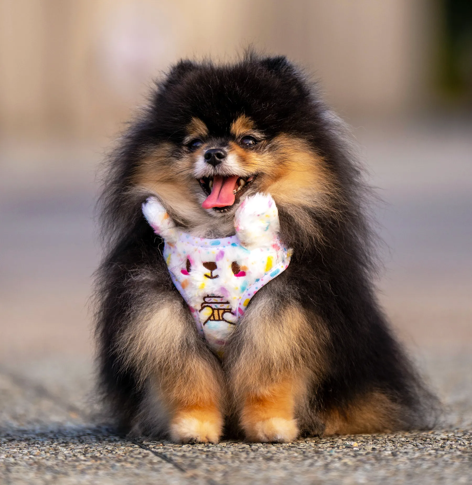 Kappukeki-kuma adjustable harness •ᴥ• ふわふわクマ ✦EXTREMELY RARE✦ FINAL RESTOCK