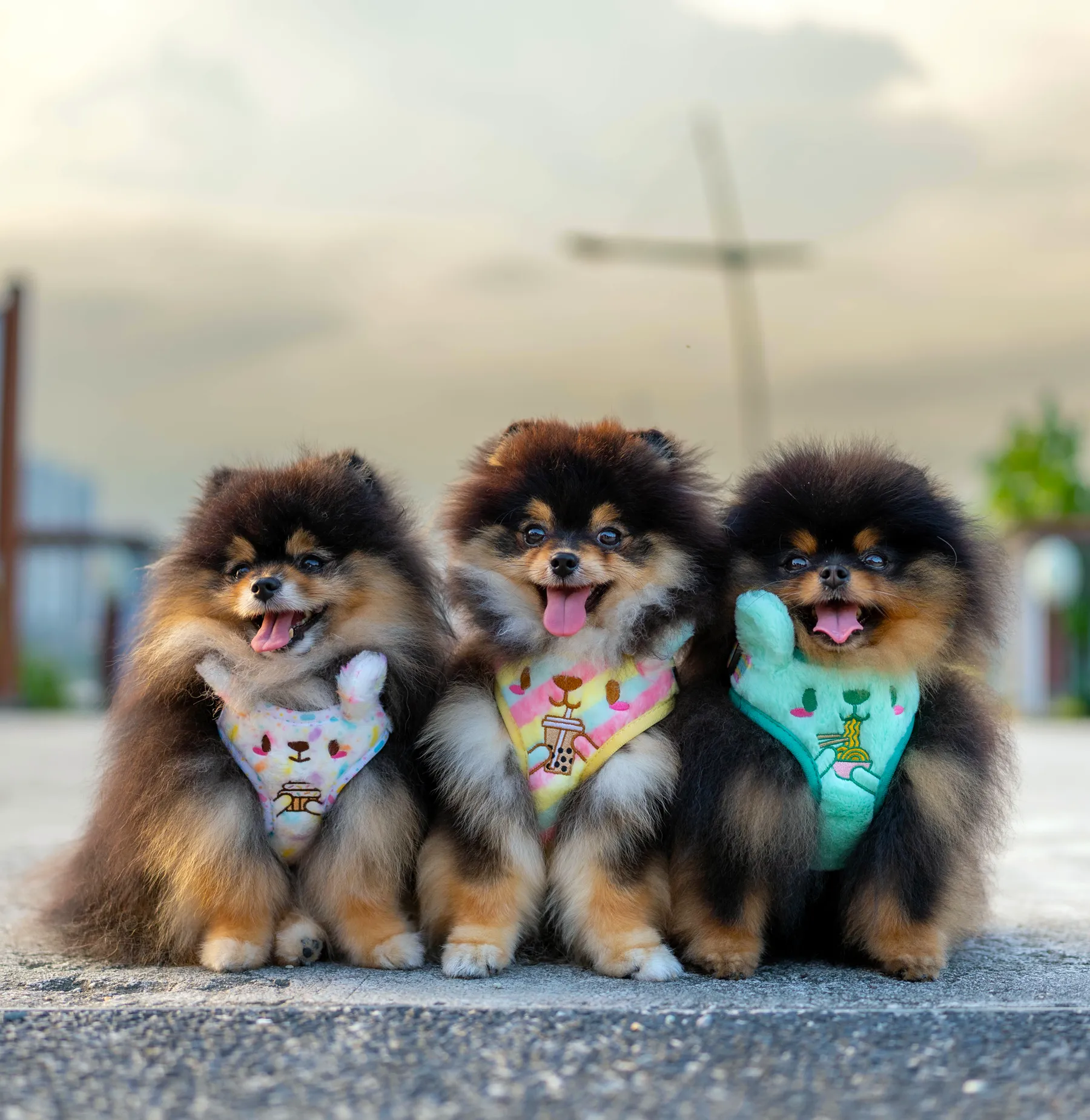 Kappukeki-kuma adjustable harness •ᴥ• ふわふわクマ ✦EXTREMELY RARE✦ FINAL RESTOCK
