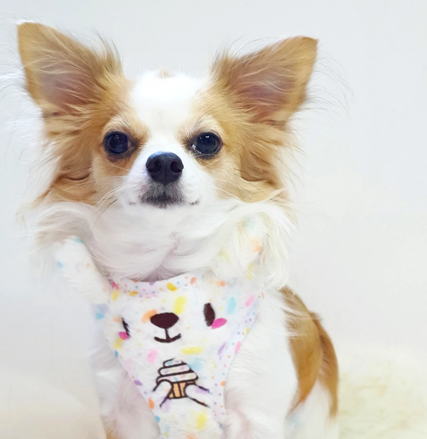 Kappukeki-kuma adjustable harness •ᴥ• ふわふわクマ ✦EXTREMELY RARE✦ FINAL RESTOCK