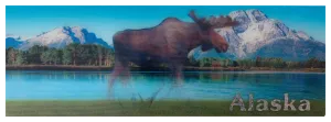 Moose Walking Alaska 3D Ruler Bookmark