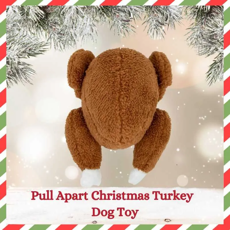 Pull apart Turkey Dog Toy