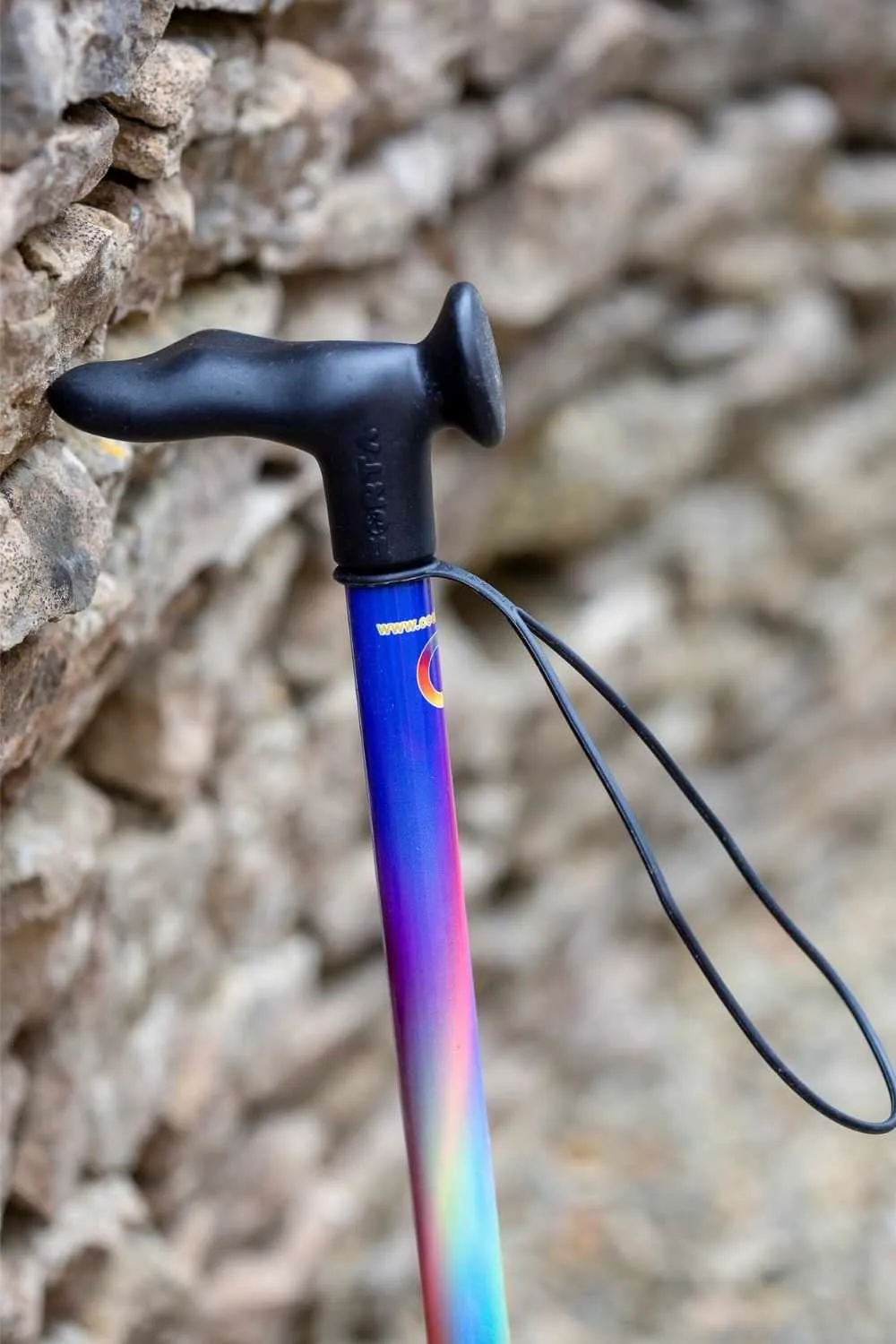 Rainbow Walking Stick