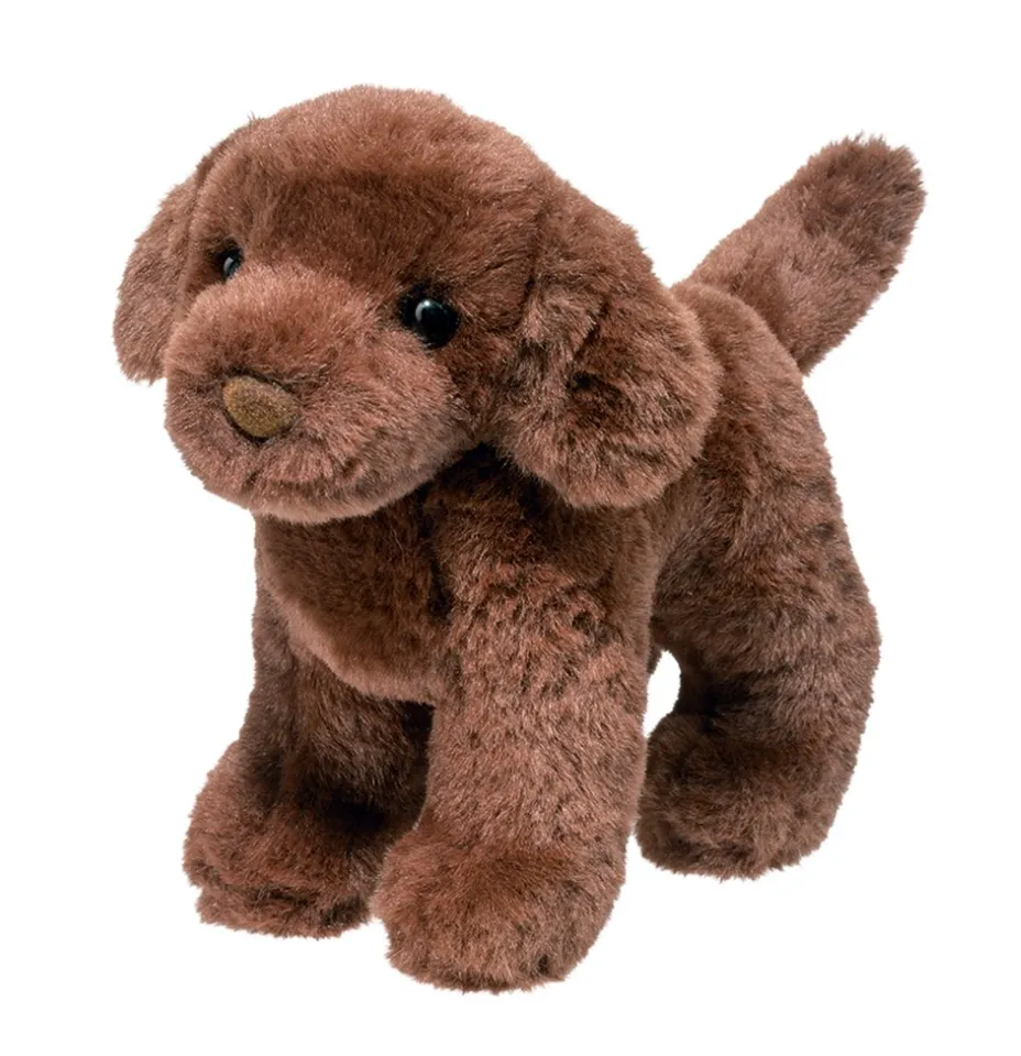 Sylvia Chocolate Lab