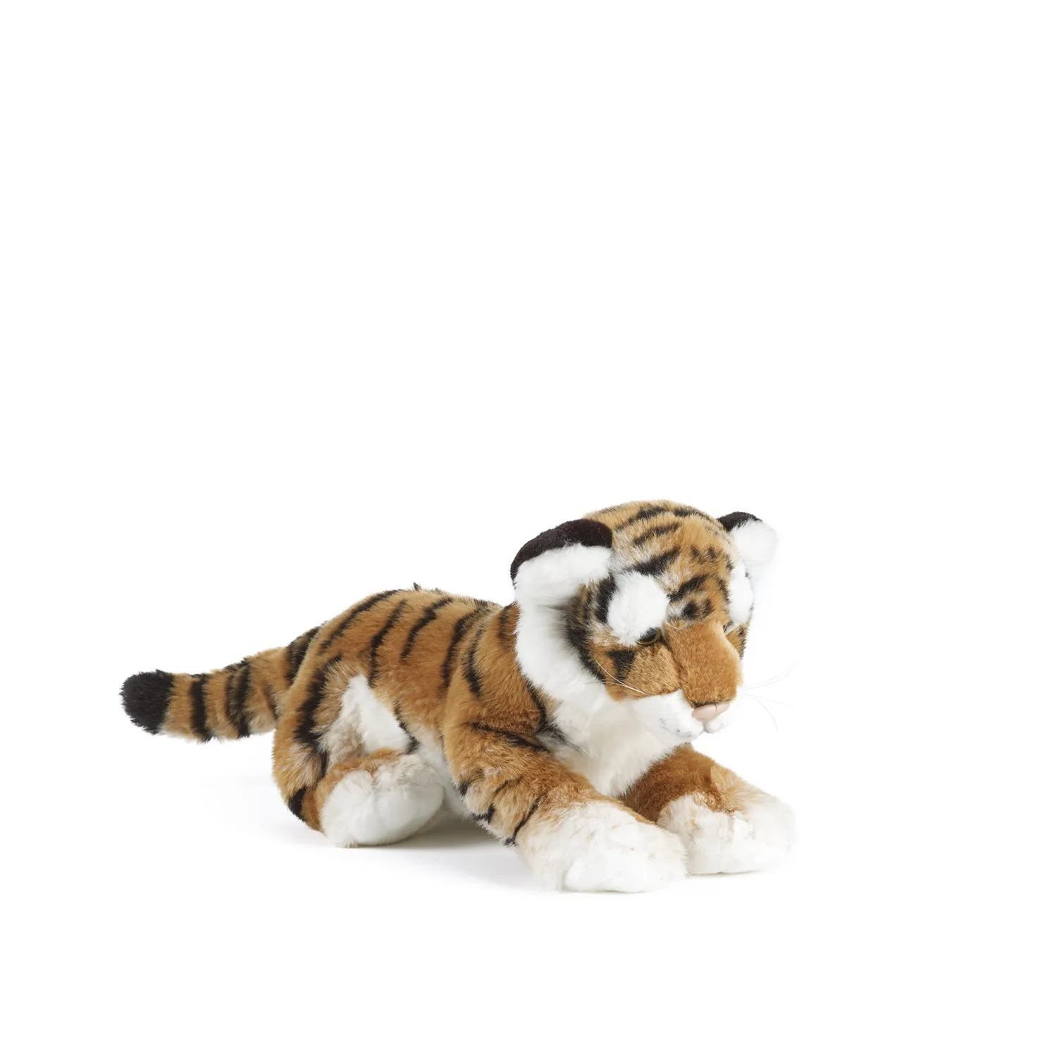 Tiger Cub