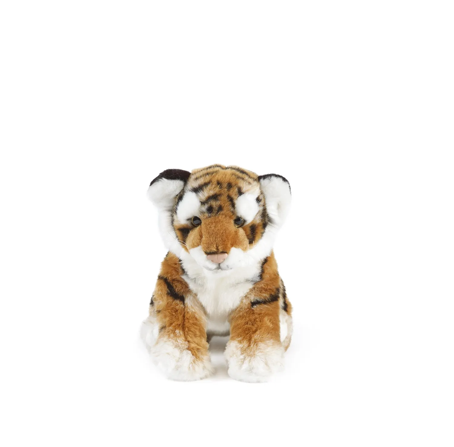Tiger Cub