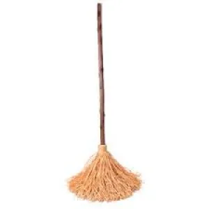 Walking Broom