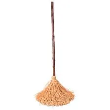 Walking Broom